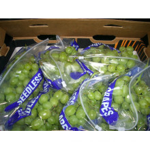 Fresh Green Grapes ( Season 2016 )